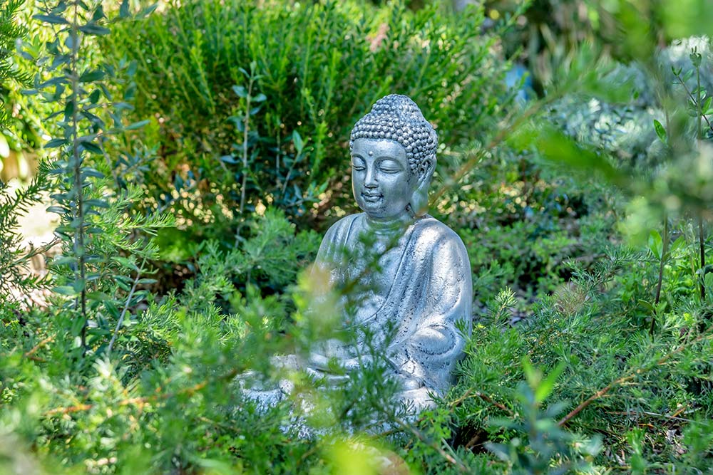 Small Buddha statue amongst green plants and bushes at Sarah's Circle